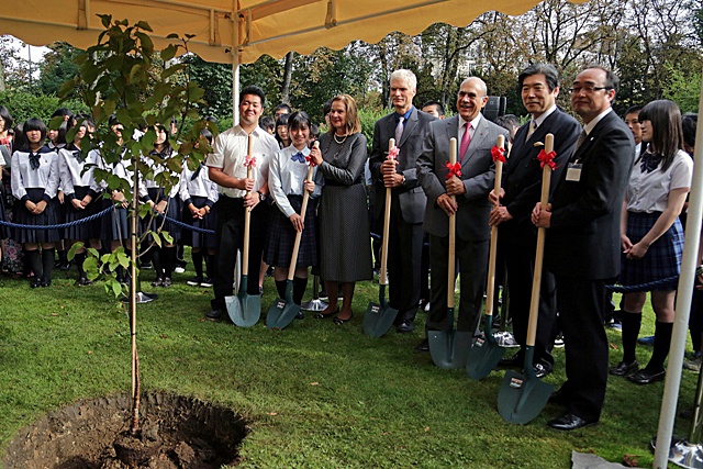 2014年9月の桜の植樹