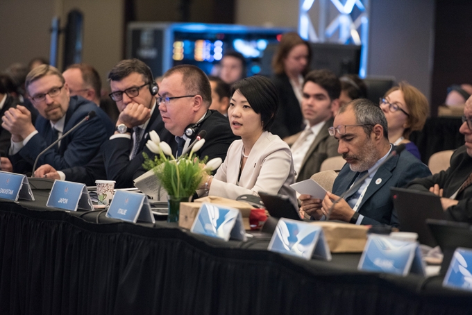 （写真）OECD社会保障大臣会合で発言する大沼厚生労働大臣政務官（右から3人目）（写真提供：©Employment and Social Development Canada）