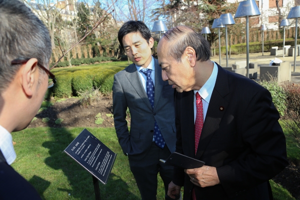 （写真）小泉龍司衆議院議員による「OECD東北スクール」プロジェクトの東北由来の桜の木の視察